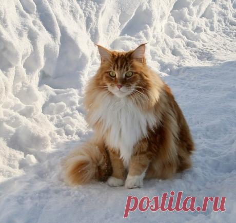 Интересные новости