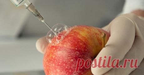 Продукты, от которых настоятельно рекомендуем отказаться. И вот по ... | Golbis