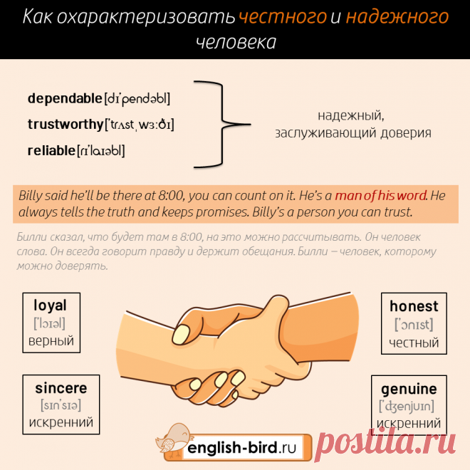 Описание человека на английском языке: слова и примеры