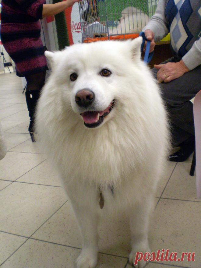 такой красивый и обаятельный!