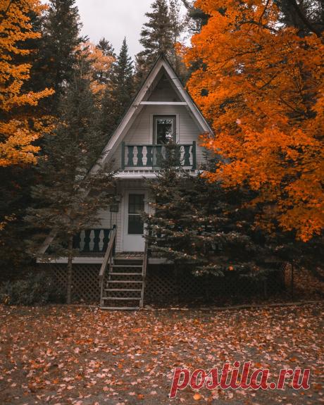 Красивые бесплатные изображения и картинки | Unsplash