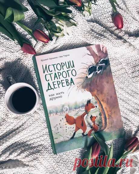 Друзья, ваши дети любят книги про животных?🦊 Если да, то уверены, что им понравится комикс «Истории старого дерева». Это сказка про лис и барсуков, которые учатся жить дружно под одной крышей и преодолевать трудности, а их не мало, ведь животные очень разные. Лисы — суетливые, а барсуки — медлительные. Лисы обожают бардак, а барсуки — идеальный порядок. Удастся ли им поладить? В комиксе описываются житейские ситуации, с которыми сталкивается ребенок в детском саду, школе, дома — это…