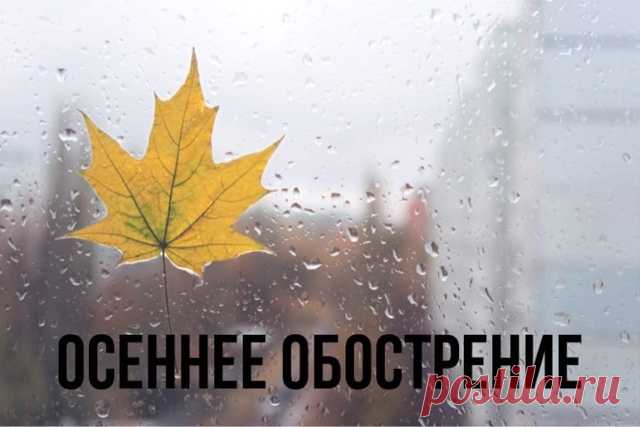 Осеннее обострение. Миф или правда? Привет, глубокий человек Каждую осень в кабинетах психологов и на форумах становится больше одинаковых признаний: «Осень пришла — и опять накрыло. ...