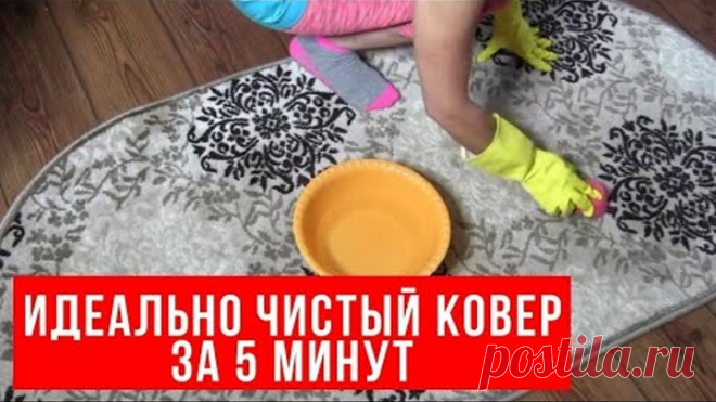 Как за СУЩИЕ КОПЕЙКИ очистить самый ЗАПУЩЕННЫЙ КОВЕР
