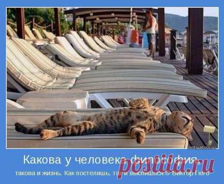 На сегодняшний день Масса Дистрибьюторов , для которых основным препятствием на пути к  созданию  Профессиональной  и Доходной  сети  - КАК  избежать  ошибки....