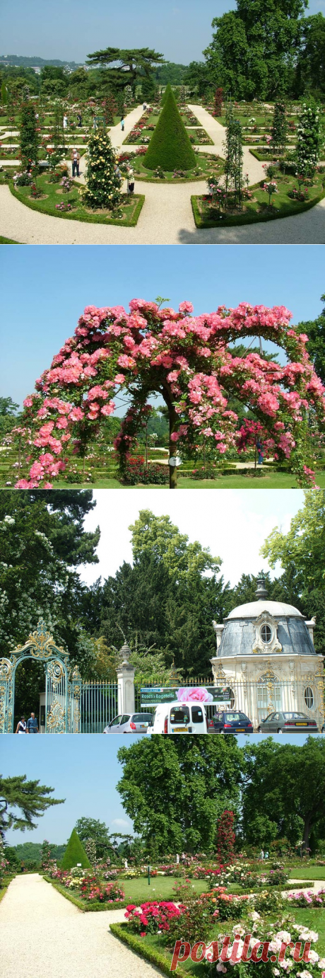 Розарий парка Багатель / Rosary Park Bagatelle.