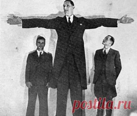 Самый высокий человек на земле жил в Российской империи. История русского великана Федора Андреевича Махнова | Robinson | Яндекс Дзен