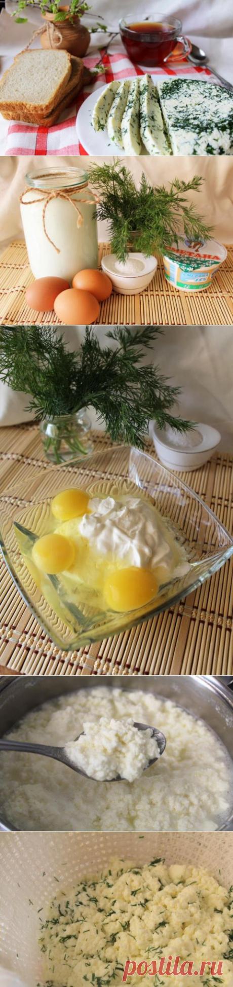 (377) Адыгейский сыр с укропом - пошаговый рецепт с фото - адыгейский сыр с укропом - как готовить: ингредиенты, состав, время приготовления - Леди@Mail.Ru