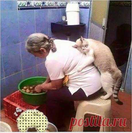 Кормилица. ))