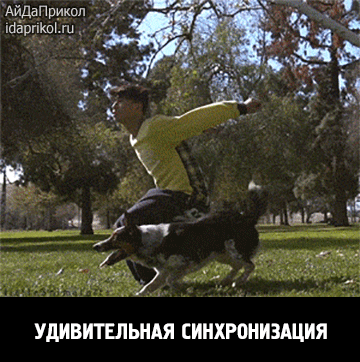 Google+
