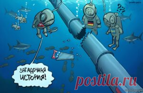 Поток белых ниток или зачем снова нагнетают украинскую версию диверсии на &quot;Северных потоках&quot; - 31 Августа 2025 - Проектирование газоснабжения