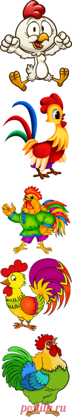 Петух - символ 2017 года (PNG)