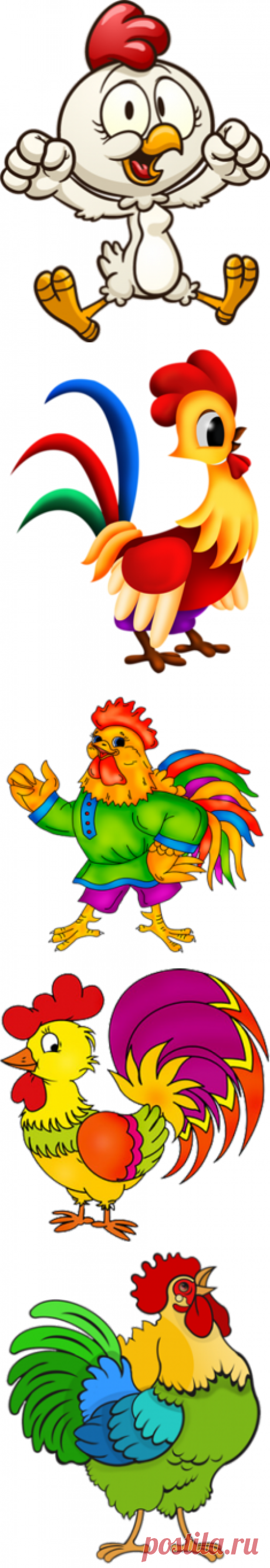 Петух - символ 2017 года (PNG)