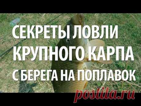 РЫБОЛОВНЫЕ ПОПЛАВОЧНЫЕ СНАСТИ и ПРИКОРМКА для РЫБАЛКИ на КРУПНОГО КАРПА - YouTube