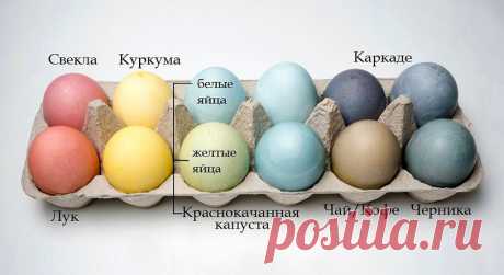 Красим и украшаем яйца к Пасхе - 20 способов покрасить яйца в 2018 году