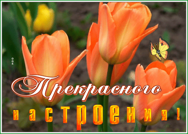 Открытка прекрасного настроения