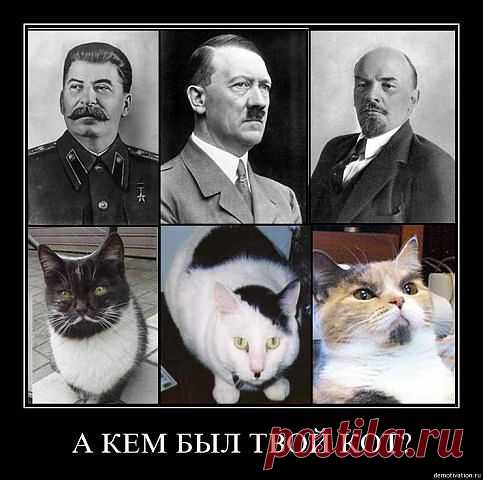 (70) Одноклассники