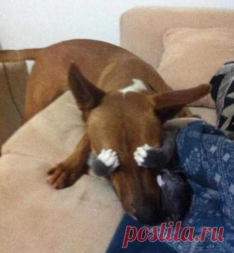 Жмурки:)