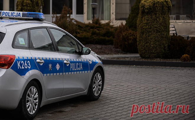 В Польше задержали более 30 подозреваемых в связи с российской разведкой. Польские спецслужбы задержали 32 человек, подозреваемых в связи с российской разведкой, заявил премьер-министр Дональд Туск перед заседанием Совета министров.