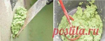 Жидкие обои своими руками. Изготовление из бумаги | Своими руками