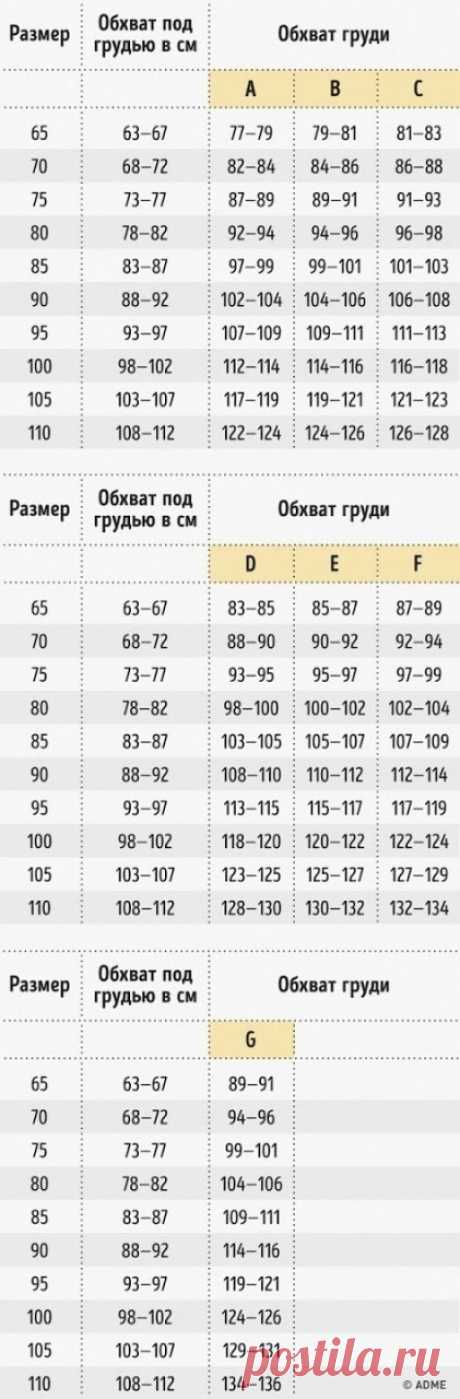 Шпаргалка: как выбрать идеальный бюстгальтер