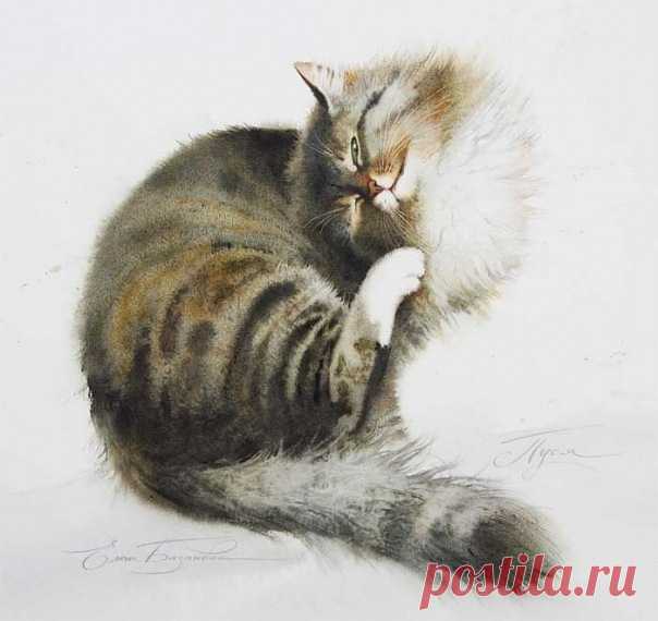 Художник Елена Базанова