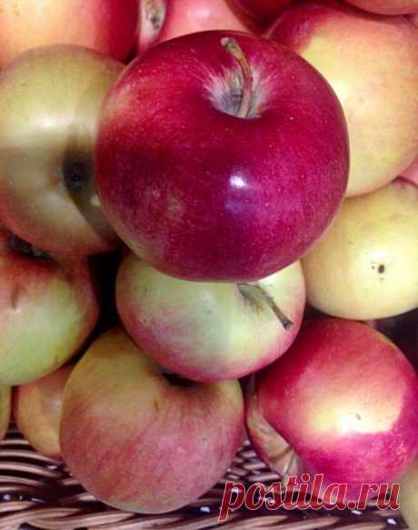 8 продуктов для здоровья сердца
Первый способ профилактики сердечно-сосудистых заболеваний-это правильной питание. Конечно, ежедневно питаться правильно не получается, но нужно постараться регулярно употреблять продукты, полезные для нашего сердца. Микроэлементы для здорового сердца: Калий -Обеспечивает тонус сосудов и необходимое кровоснабжение Магний -Нормализует работу нервной и...
Читай пост далее на сайте. Жми ⏫ссылку выше