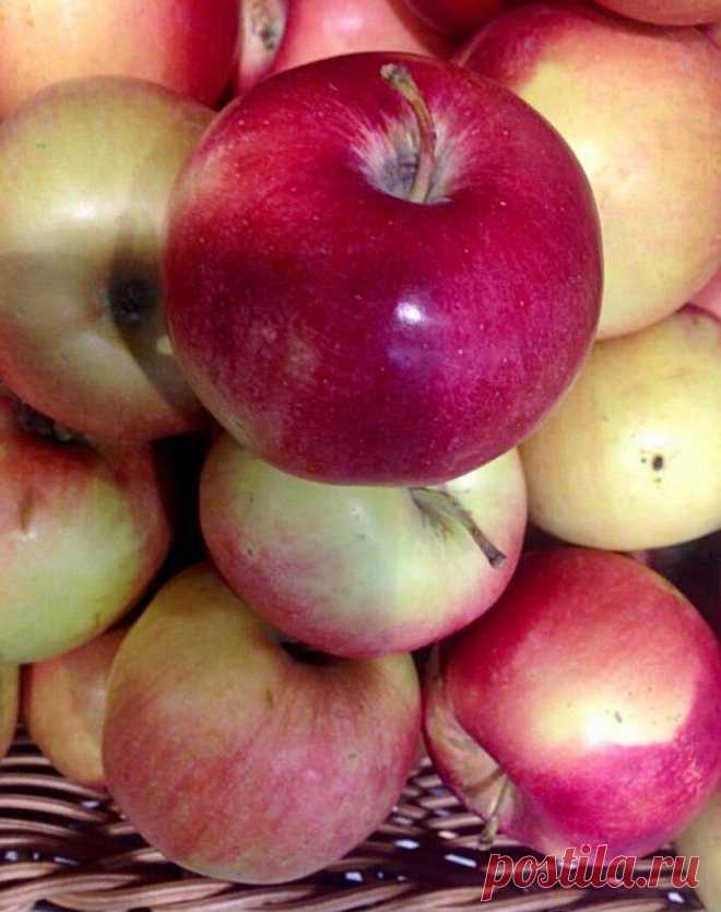 8 продуктов для здоровья сердца
Первый способ профилактики сердечно-сосудистых заболеваний-это правильной питание. Конечно, ежедневно питаться правильно не получается, но нужно постараться регулярно употреблять продукты, полезные для нашего сердца. Микроэлементы для здорового сердца: Калий -Обеспечивает тонус сосудов и необходимое кровоснабжение Магний -Нормализует работу нервной и...
Читай пост далее на сайте. Жми ⏫ссылку выше