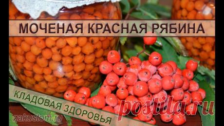 Как украсить праздничный стол. Домашняя мочёная рябина - простой рецепт оригинальной заготовки Чем украсить блюда на Новогоднем праздничном столе? У нас есть отличный рецепт, который достался нам от наших предков - это моченая рябина. Рецепт приготовле...