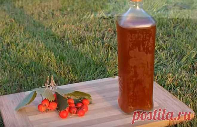 Боярышник на зиму — заготовка и способы приготовления