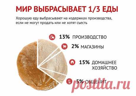 Домашнее Похудение. Планета выброшенных продуктов :(