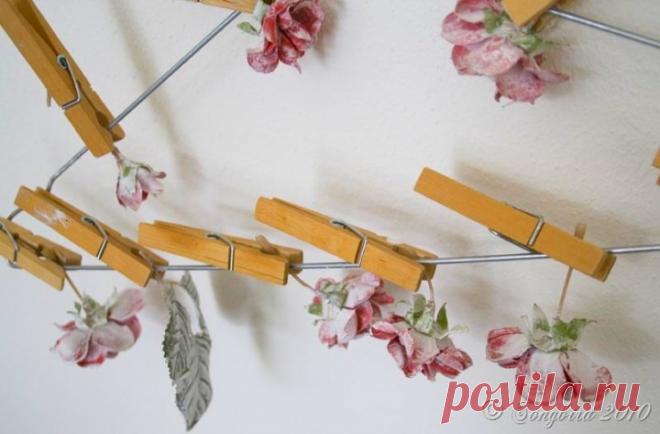 Цветы в гипсе. Шикарно и очень просто. Мастер-класс