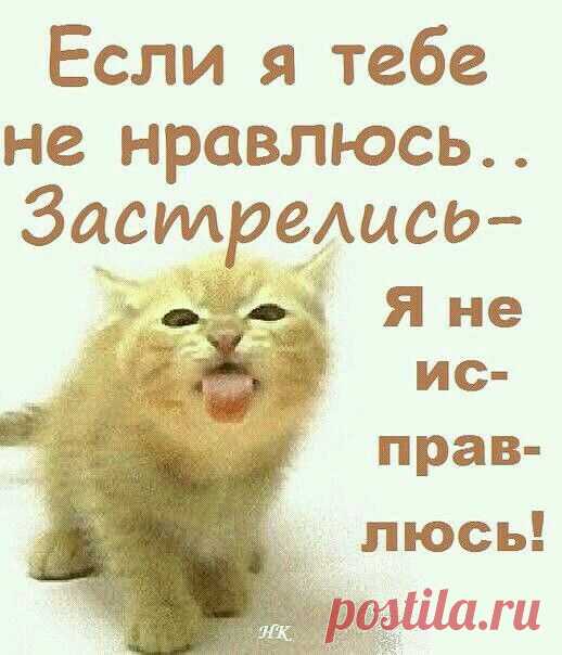 b3a393c42c75c3d05b5950cc329c7635.jpg (518×604)