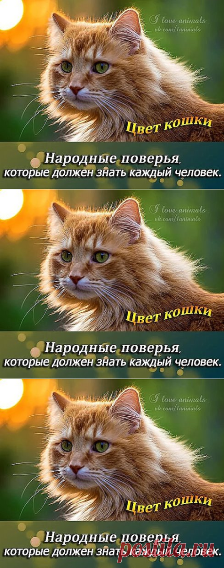 Народные поверья