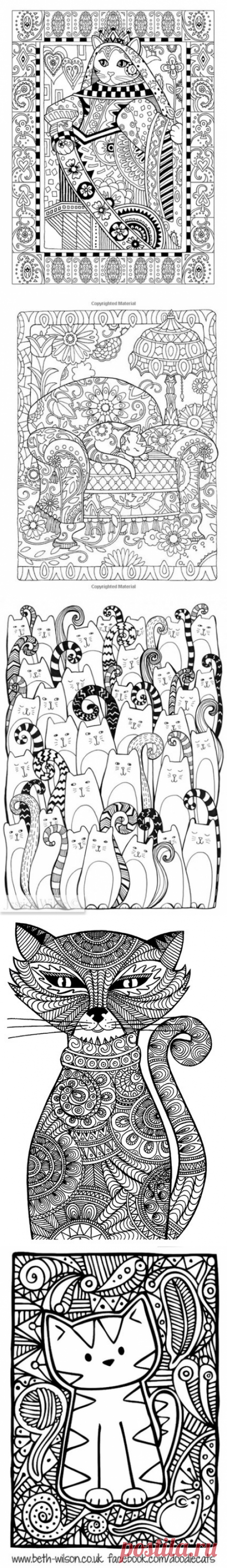 Раскраски-антистресс с кошками