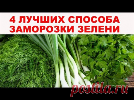 4 ЛУЧШИХ СПОСОБА как заморозить зелень на зиму правильно (зеленый лук и др.). Раскрываем секреты