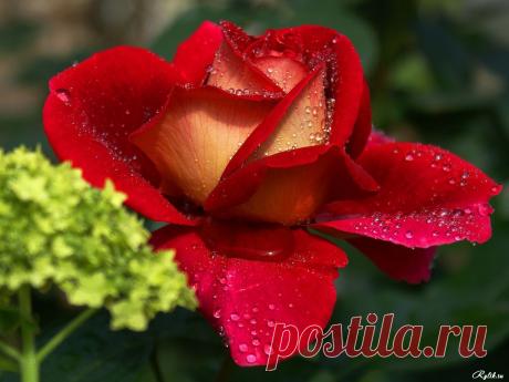 красивые картинки на рабочий стол - 1 млн картинок. Поиск@Mail.Ru