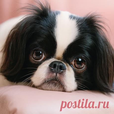 Давай поговорим о будущем - OGADANIE.RU