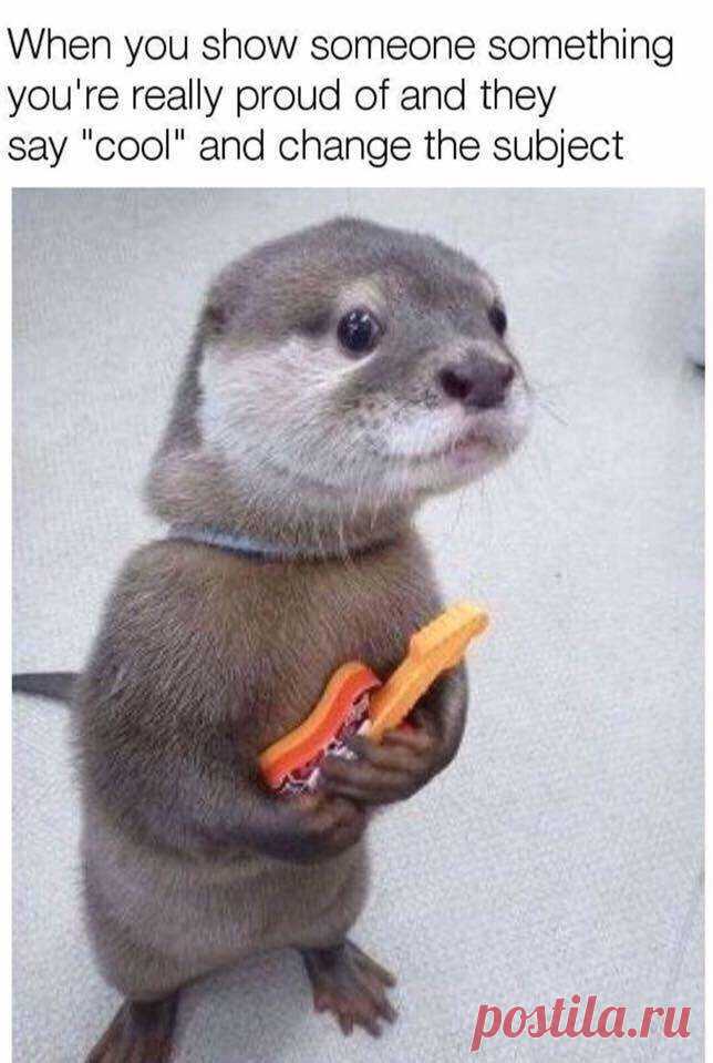 That's it

#funny #memes #girls #boys #gagbee