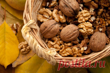 7 жирных продуктов, которые нужно добавить в ваш рацион