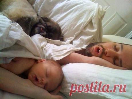 Мужчины спят :)