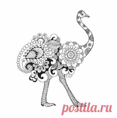 Ostrich bird. Black white hand drawn doodle animal. Ethnic patterned vector illustration. African, indian, totem, tribal, zentangle design. Sketch for colouring page, tattoo, poster, print, t-shirt 123RF - Миллионы стоковых фото, векторов, видео и музыки для Ваших проектов.