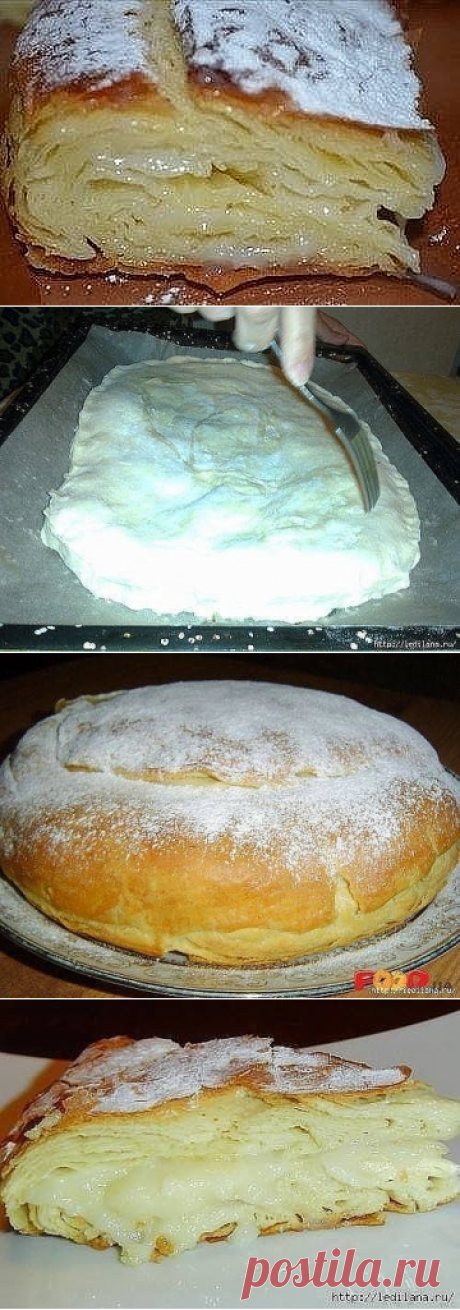 * * * * * * * * * * * *