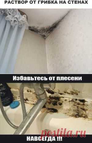 (81) Одноклассники