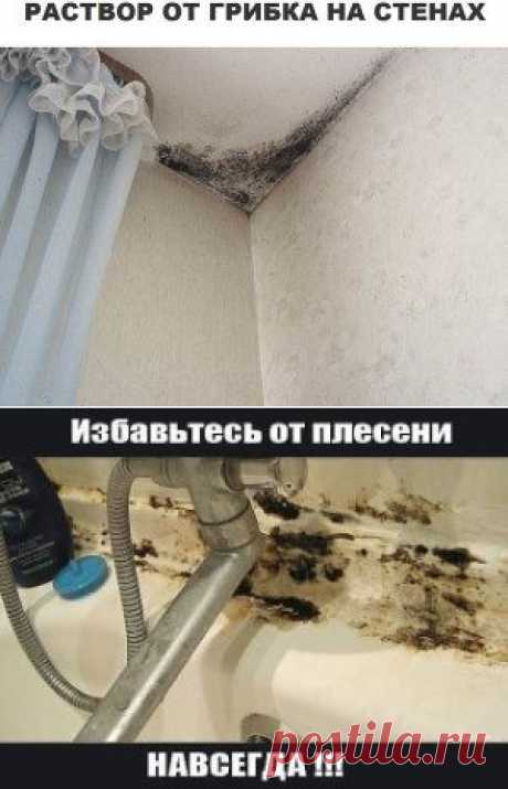 (81) Одноклассники