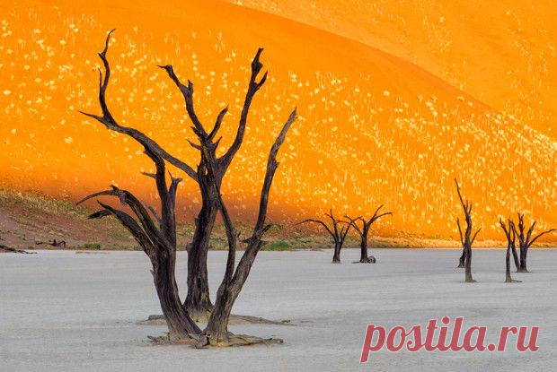10 самых потрясающих «космических» пейзажей на Земле.