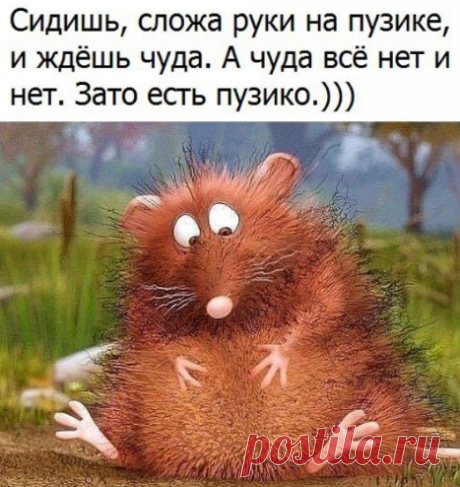 Новости