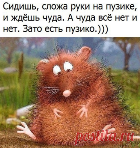 Новости