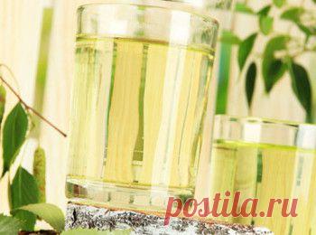 Рецепты кваса из березового сока