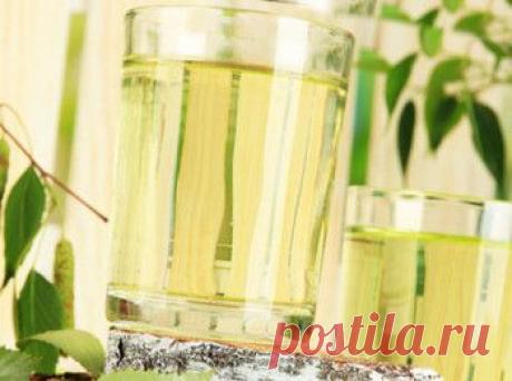 Рецепты кваса из березового сока